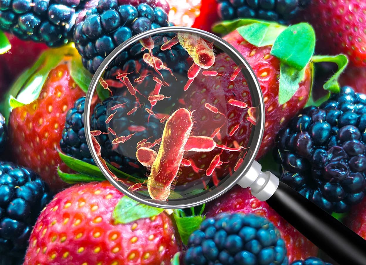 microorganisms and fruit in the background