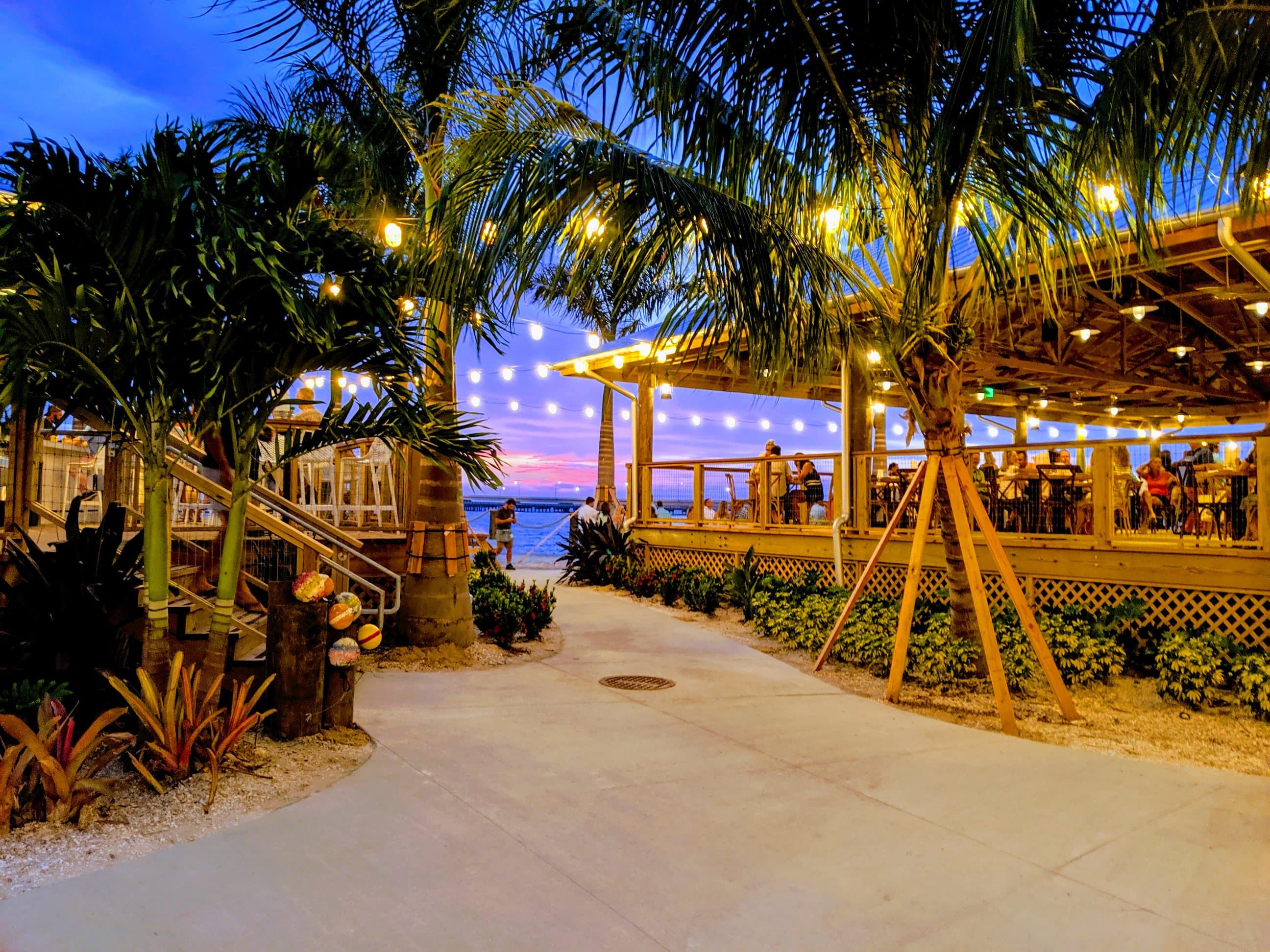 lights hanging from palm trees at Salt Shack